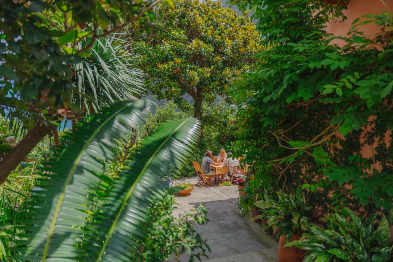 Madeira Surf Lodge São Vicente Eksteriør bilde