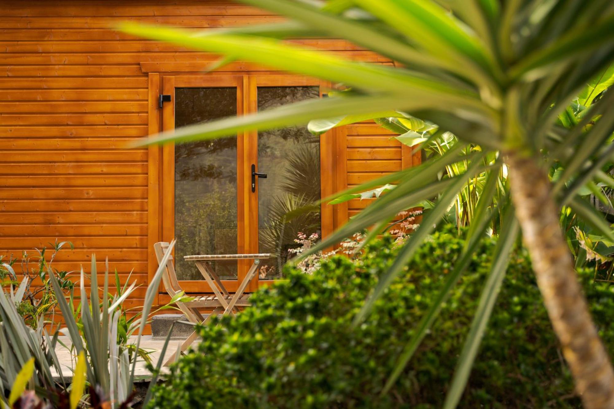 Madeira Surf Lodge São Vicente Eksteriør bilde